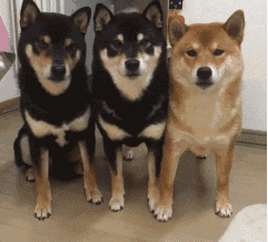 企业升职加薪攻略合辑