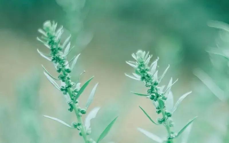 新人如何快速适应职场的7个方法