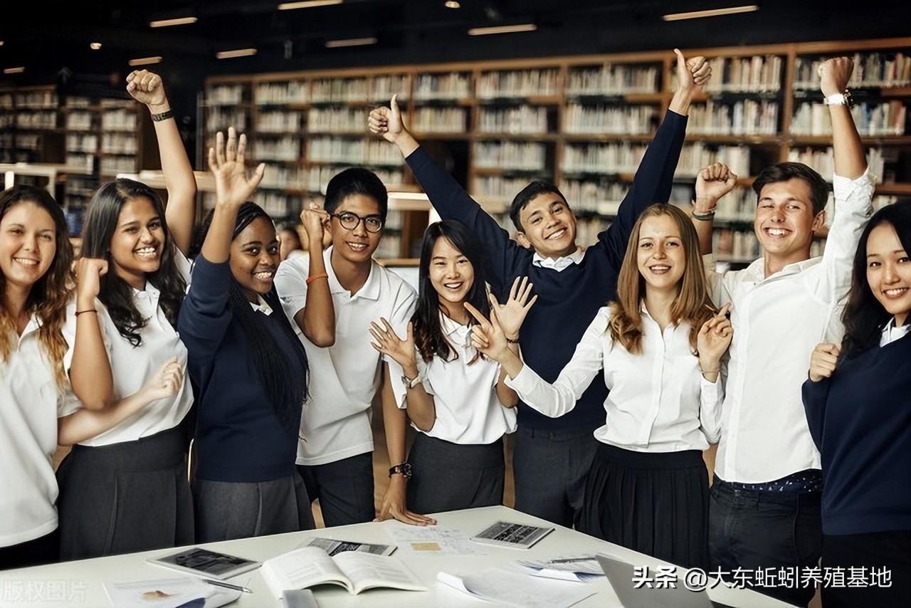 如何掌握社交技巧，打造高效人际关系