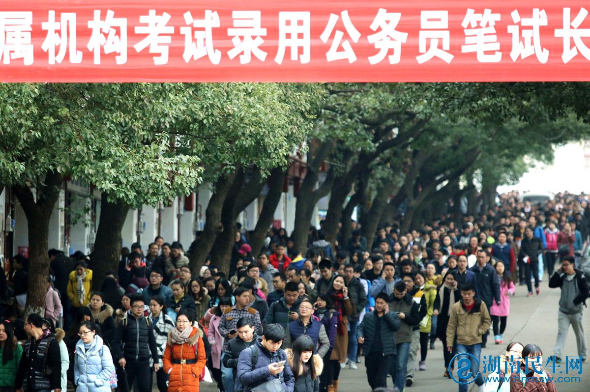 2023蚌埠蚌山区中小学人才校园招聘现场报名资格复审及面试公告