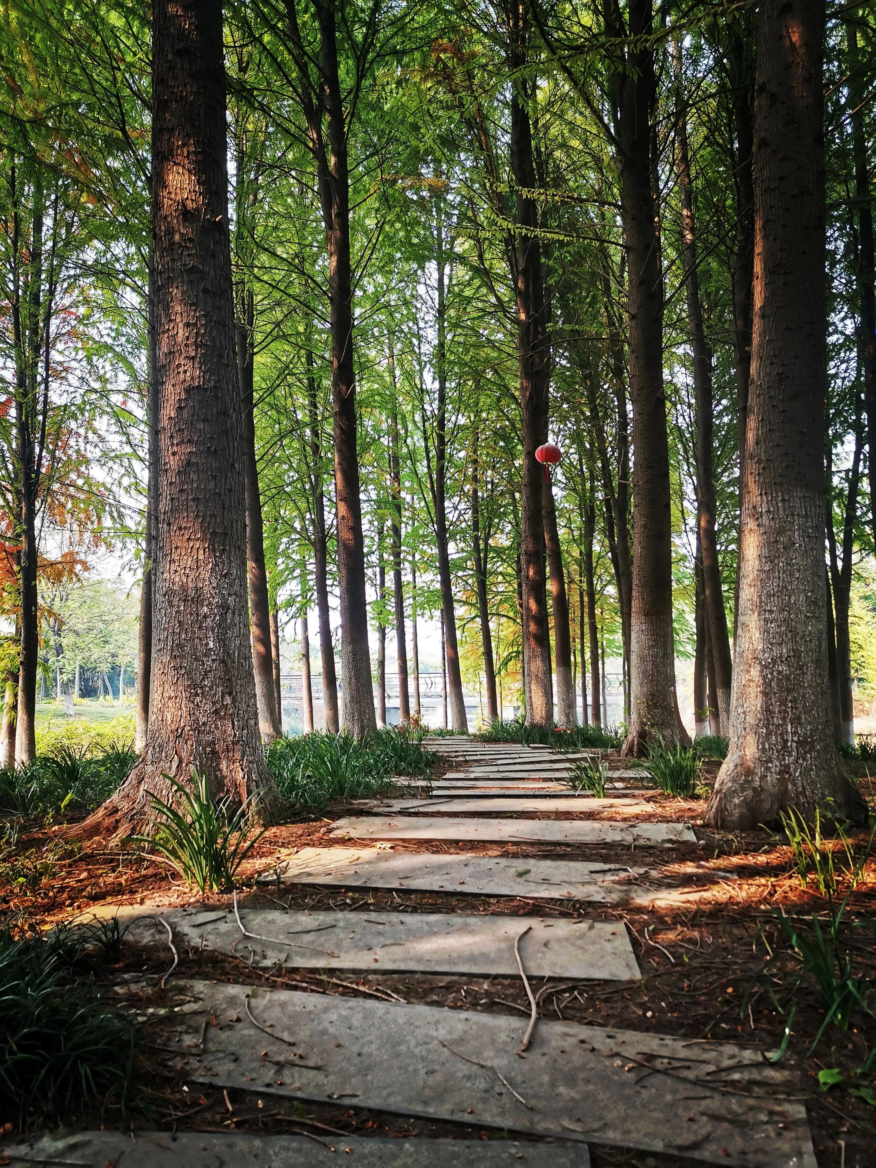 有哪些高效的职场沟通技巧？