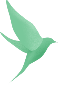 【集团资讯】凤二小与蚌埠学院文学与教育学院成功签约共建实习基地（附视频）