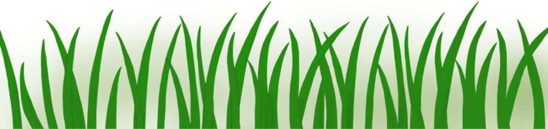 具备哪些沟通技巧，我们能在职场中游刃有余？