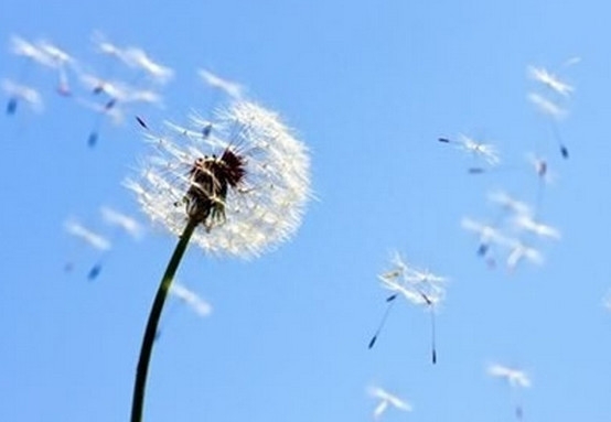 ​职场人际关系常青的法宝，其实就这三点