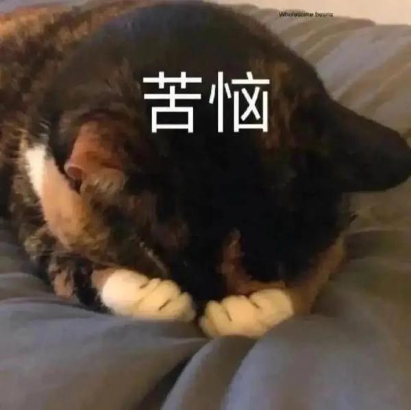 拒绝精神内耗！职场人总是“想太多”？试试这些办法