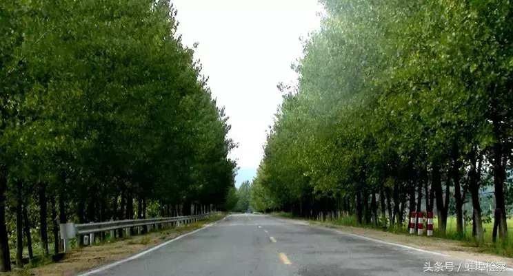 蚌埠、凤阳将共建淮河大桥、筹建城际铁路