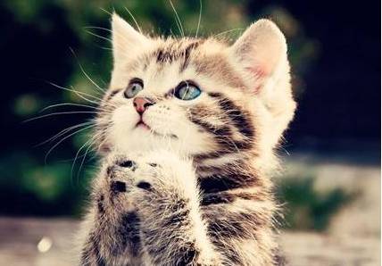 职场丨职场中高情商者的说话方式