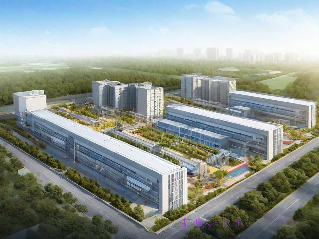 蚌埠双环电子厂怎么样,蚌埠市双环电子怎么样