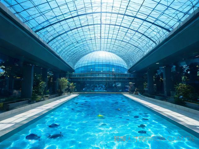 蚌埠海洋馆地址,蚌埠海洋馆地址查询