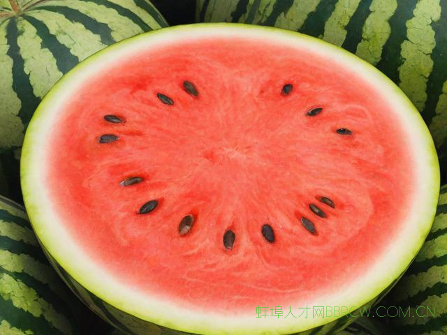 蚌埠西瓜8424,蚌埠西瓜子厂