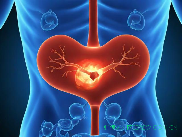 蚌埠三院做胃镜多少钱,蚌埠一二三医院做胃镜多少钱