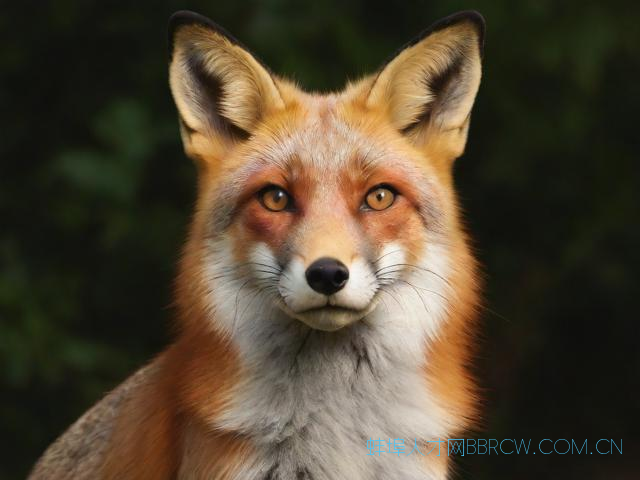 蚌埠狐臭医院哪家好,蚌埠最好的看皮肤的医院