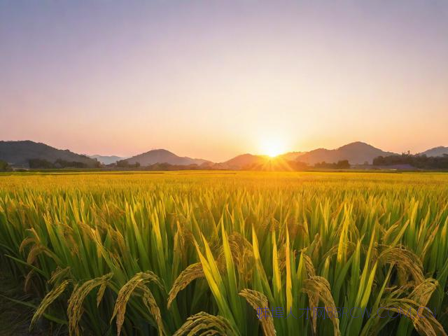 安徽省蚌埠市怀远县天气30,中国安徽省蚌埠市怀远县天气