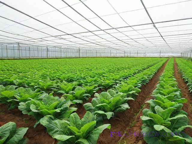 蚌埠农业公司,蚌埠市农业产业化龙头企业