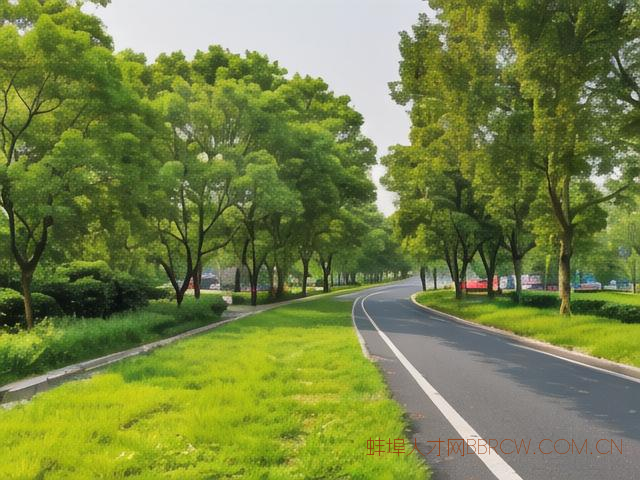 滁州到蚌埠县道怎么样,滁州离蚌埠远不远