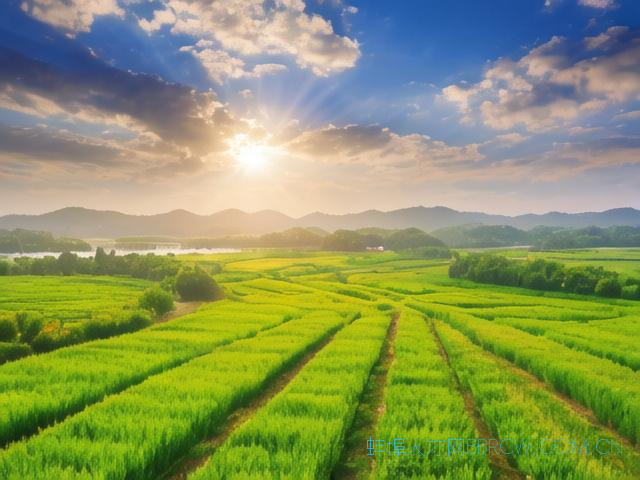 蚌埠到合肥多少公里,蚌埠到合肥多少公里多少时间