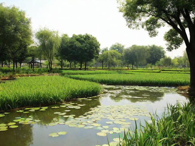 蚌埠生态农业有限公司,蚌埠农业生态园