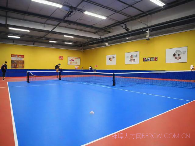 蚌埠惠友乒乓球俱乐部,蚌埠惠友乒乓球俱乐部价格