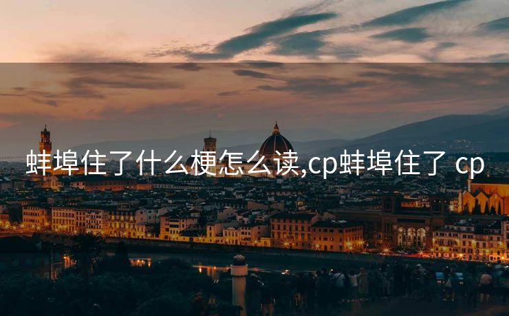 蚌埠住了什么梗怎么读,cp蚌埠住了 cp