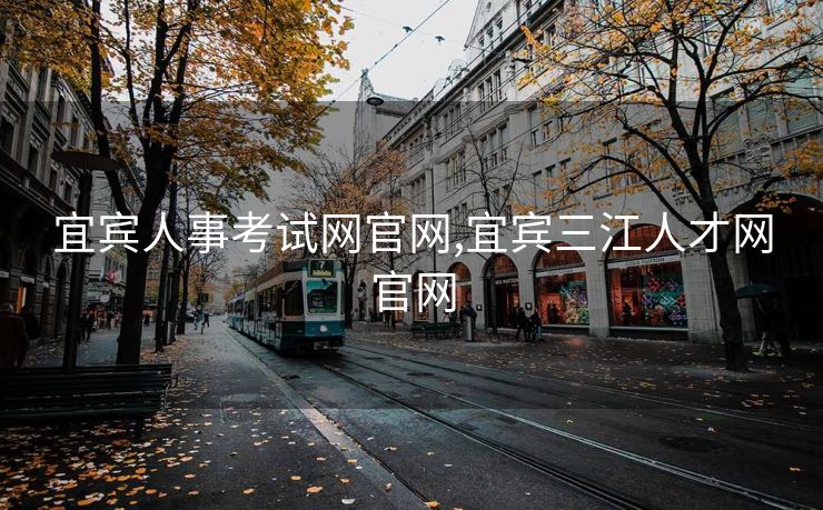 宜宾人事考试网官网,宜宾三江人才网官网