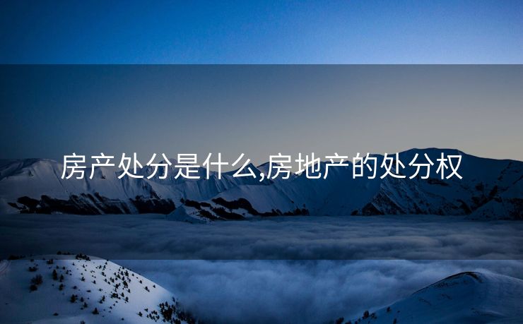房产处分是什么,房地产的处分权