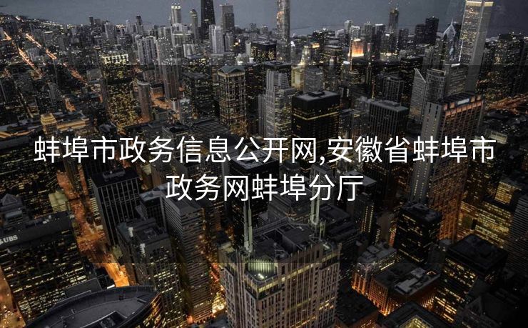 蚌埠市政务信息公开网,安徽省蚌埠市政务网蚌埠分厅