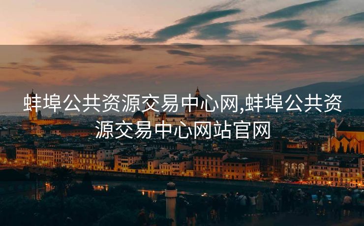 蚌埠公共资源交易中心网,蚌埠公共资源交易中心网站官网