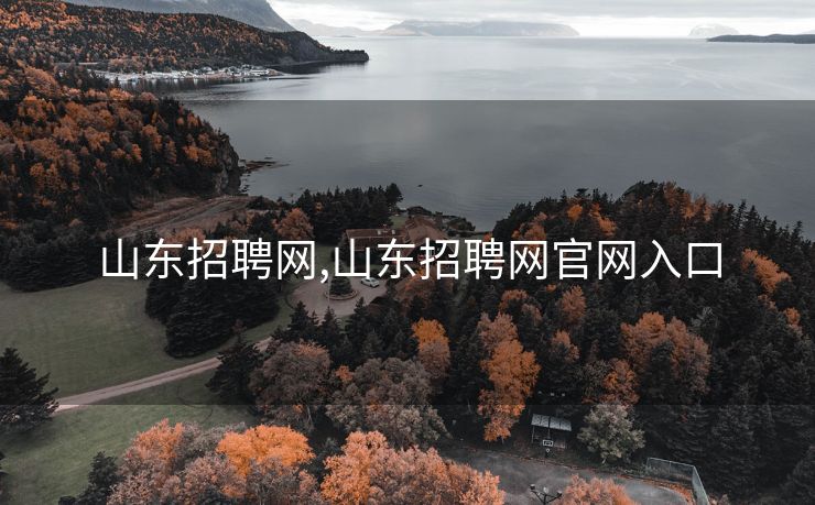 山东招聘网,山东招聘网官网入口