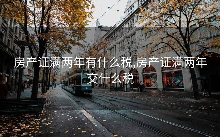 房产证满两年有什么税,房产证满两年交什么税