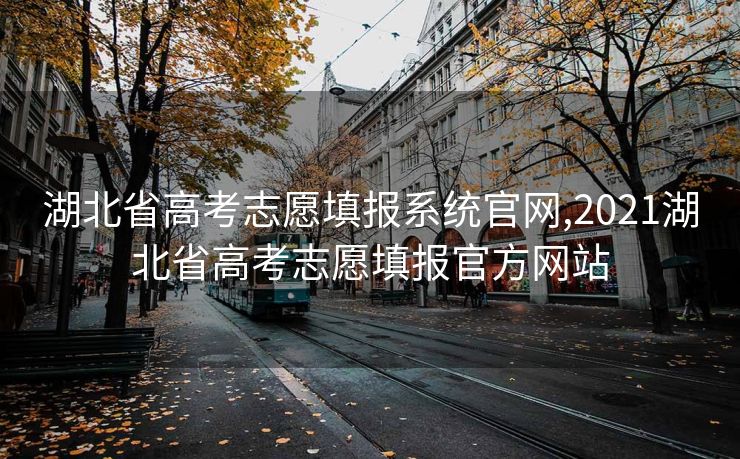 湖北省高考志愿填报系统官网,2021湖北省高考志愿填报官方网站