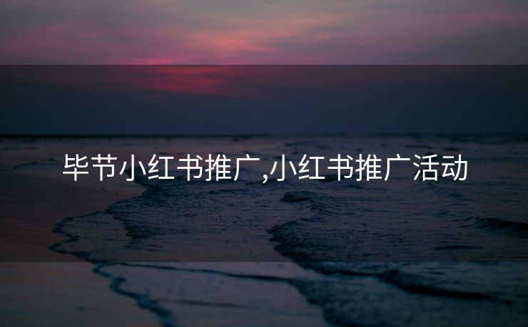 毕节小红书推广,小红书推广活动