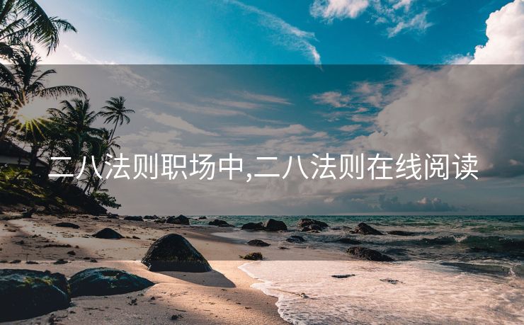 二八法则职场中,二八法则在线阅读