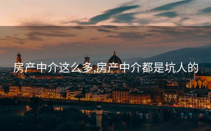 房产中介这么多,房产中介都是坑人的