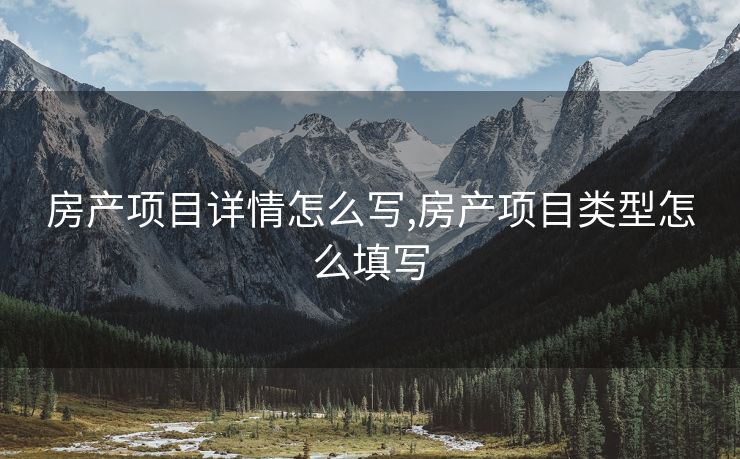 房产项目详情怎么写,房产项目类型怎么填写