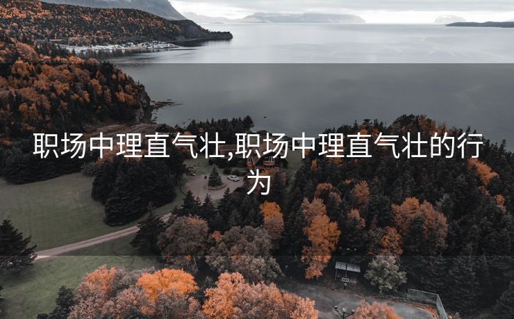 职场中理直气壮,职场中理直气壮的行为