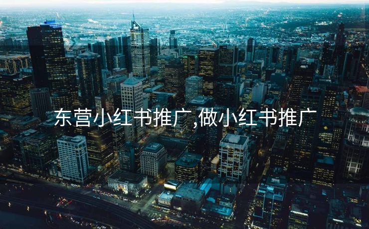 东营小红书推广,做小红书推广