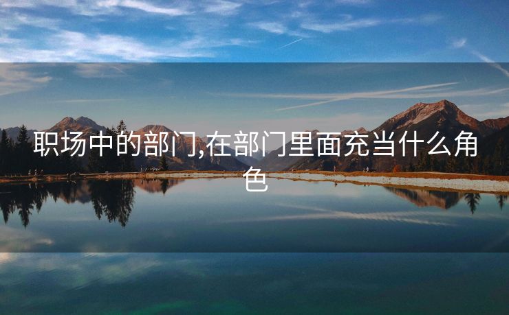 职场中的部门,在部门里面充当什么角色