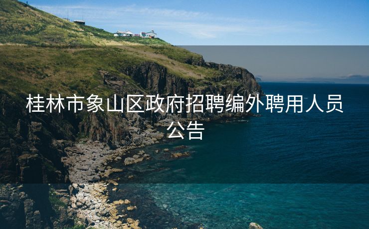 桂林市象山区政府招聘编外聘用人员公告