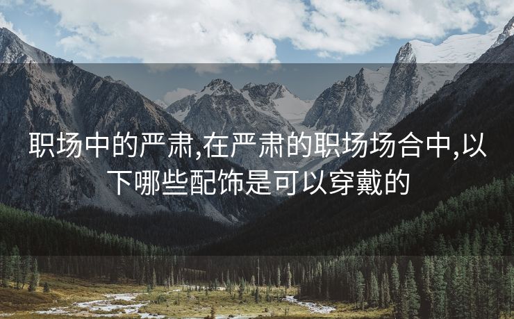 职场中的严肃,在严肃的职场场合中,以下哪些配饰是可以穿戴的