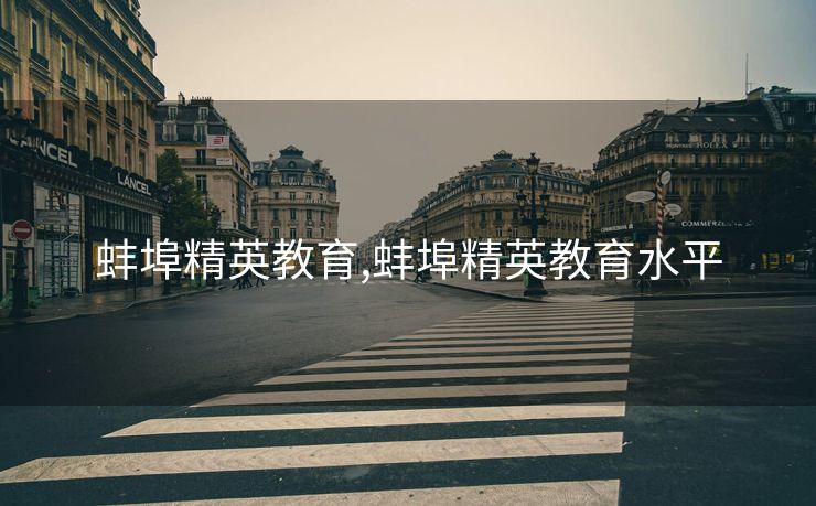 蚌埠精英教育,蚌埠精英教育水平