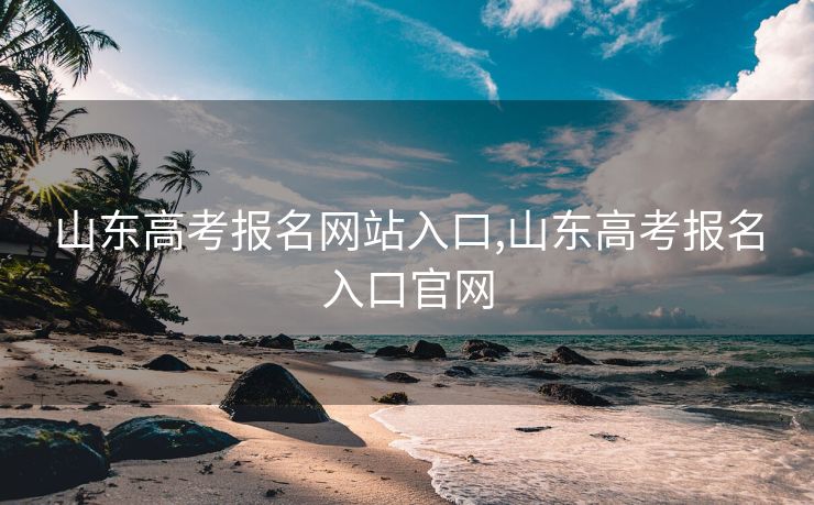 山东高考报名网站入口,山东高考报名入口官网