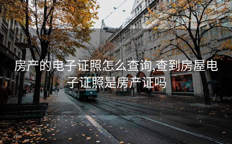 房产的电子证照怎么查询,查到房屋电子证照是房产证吗
