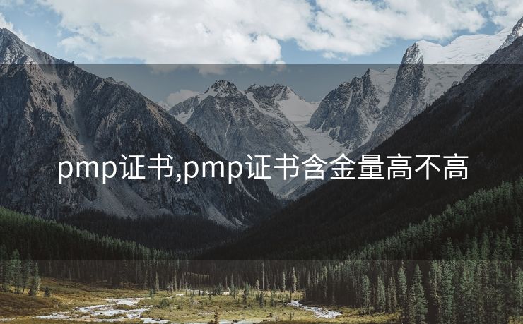pmp证书,pmp证书含金量高不高