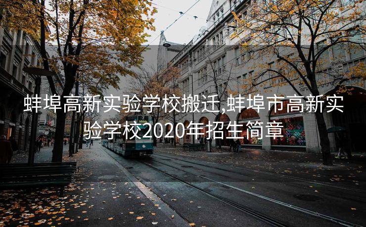 蚌埠高新实验学校搬迁,蚌埠市高新实验学校2020年招生简章