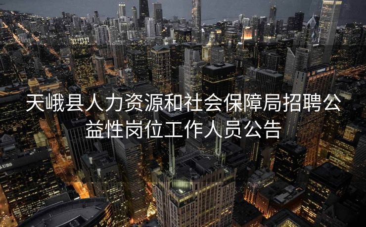 天峨县人力资源和社会保障局招聘公益性岗位工作人员公告