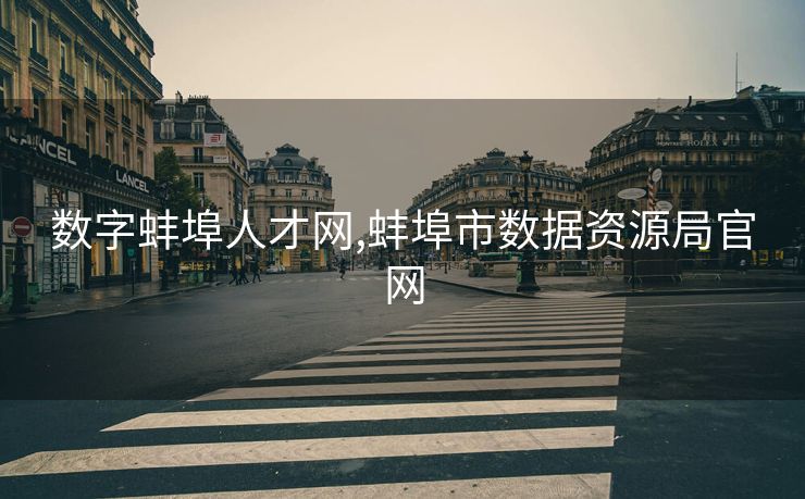 数字蚌埠人才网,蚌埠市数据资源局官网