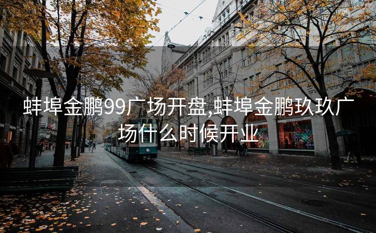 蚌埠金鹏99广场开盘,蚌埠金鹏玖玖广场什么时候开业