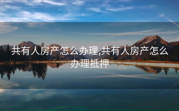 共有人房产怎么办理,共有人房产怎么办理抵押
