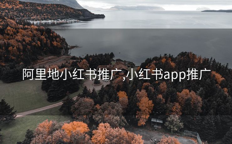 阿里地小红书推广,小红书app推广