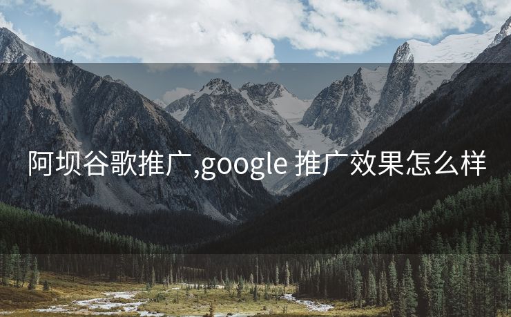 阿坝谷歌推广,google 推广效果怎么样